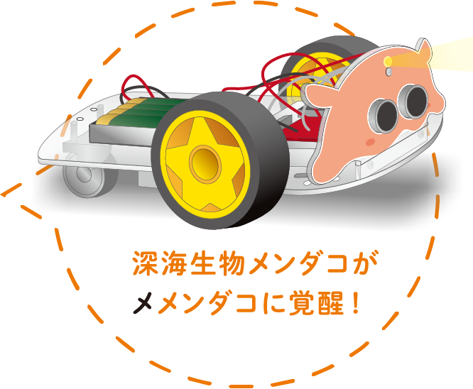 深海生物メンダコがメメンダコに覚醒！